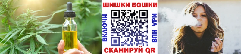 ссылка на мегу tor  дарнет шоп  Орск  Canna-Cookies конопля 