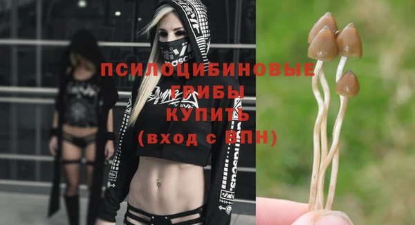 кокаин перу Вяземский