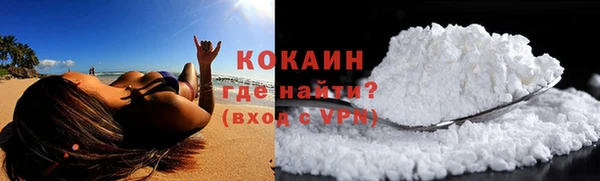 мдпв Вязьма