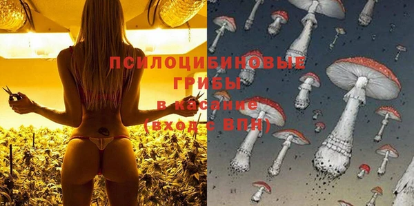 мдпв Вязьма