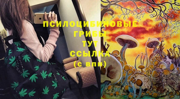 гидра Янаул