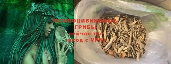 мдпв Вязьма