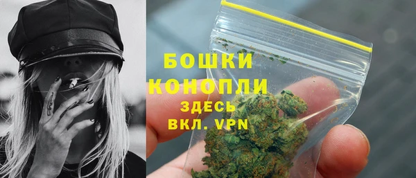 соль ск Горнозаводск